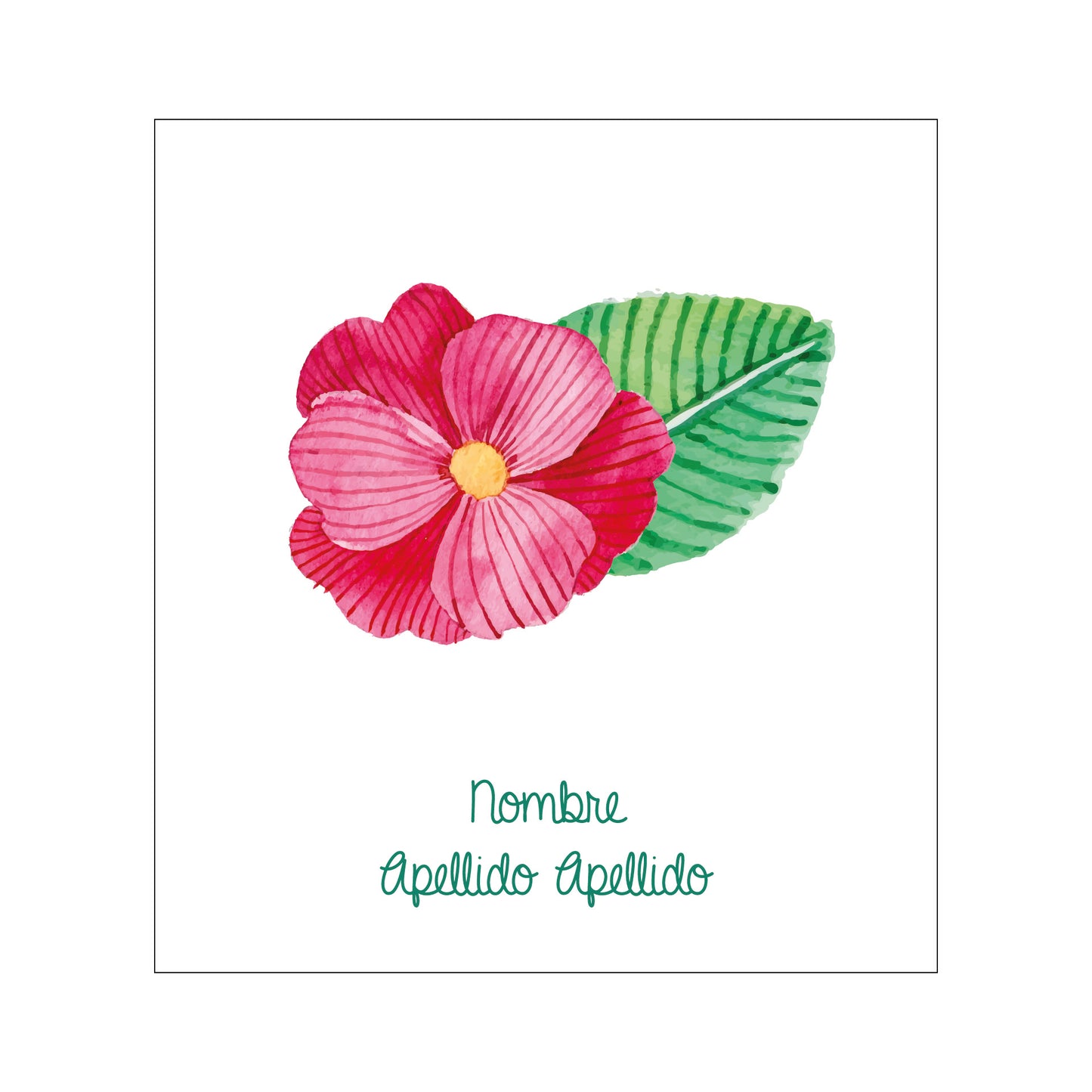flores canales