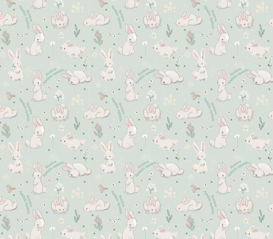 Bunnies 342