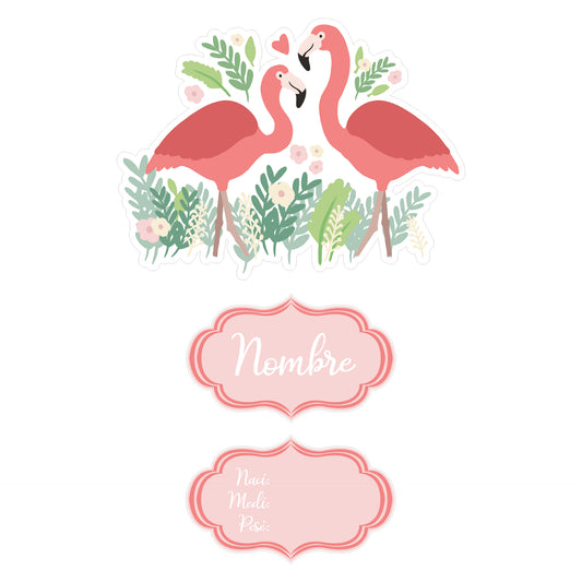 Flamingos